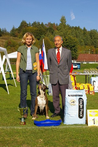 www.boxer-show.eu